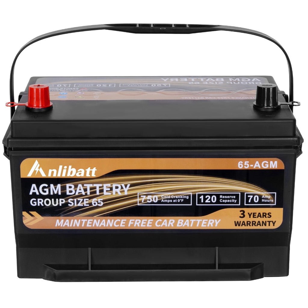 Anlibatt Platinum AGM Group 49 Battery, 12 Volt Rechargeable Automotive Batteries for Car, H8 900CCA 95Ah 160RC
